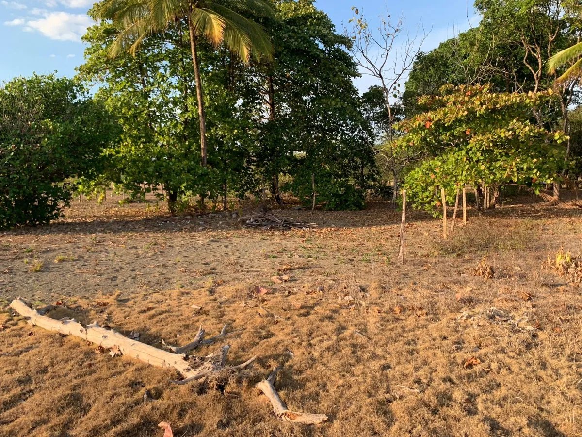 Se vende propiedad frente al mar, en mata oscura, veraguas.