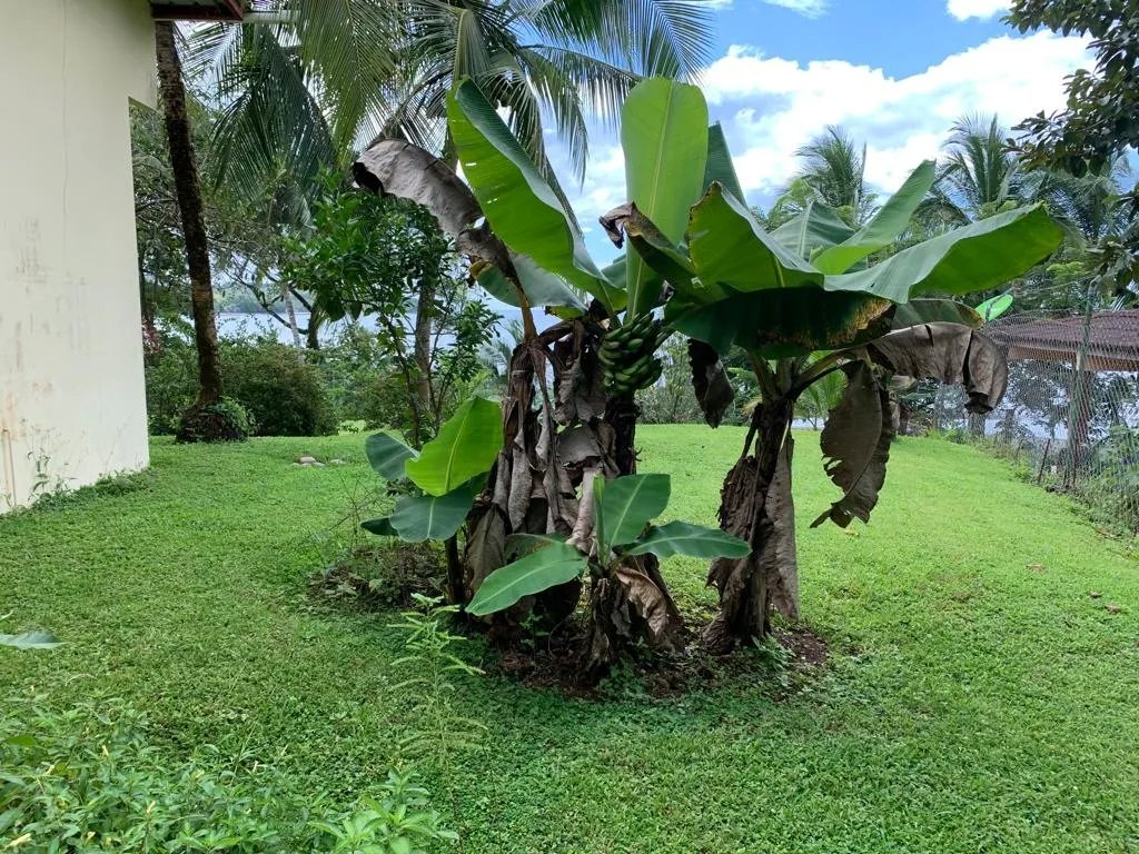 Casa frente al mar en venta, playa torio, veraguas.