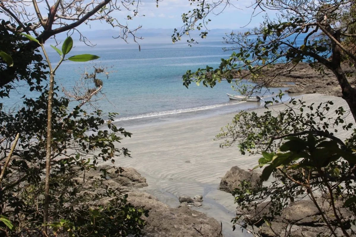 Propiedad en venta de casi 7 hectáreas (casi 17.29 acres), isla de cebaco, frente al mar. veraguas.