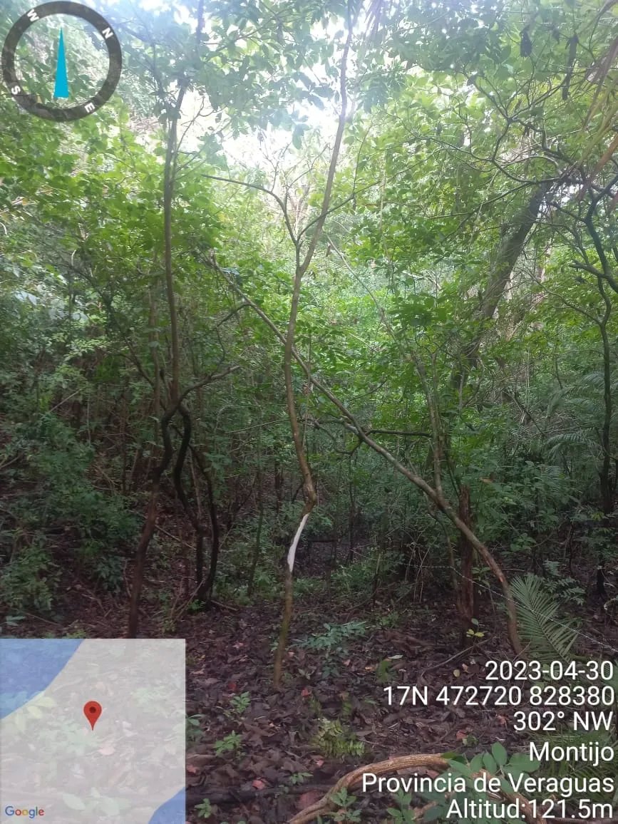 Propiedad en venta de casi 7 hectáreas (casi 17.29 acres), isla de cebaco, frente al mar. veraguas.