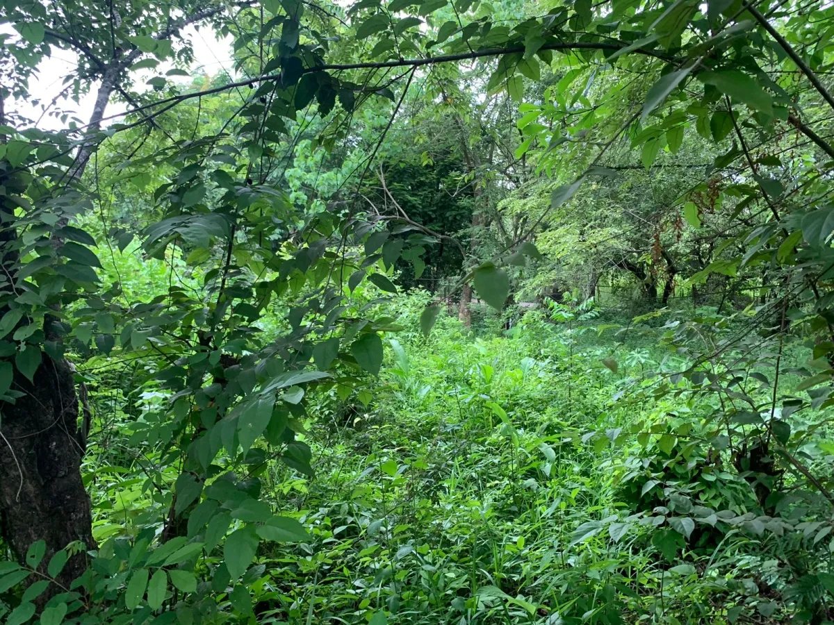 Se vende propiedad de casi 1,000 metros de terreno, en  el centro de santa catalina, veraguas, panamá