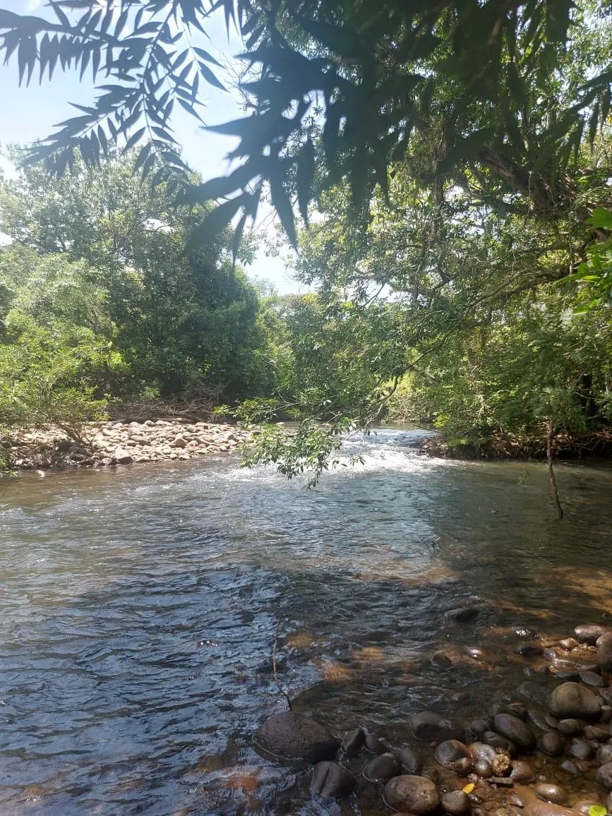 Nueva casa de buen gusto en un lote de ensueño río en la tranquilidad maravillosa no muy lejos de boquete y david