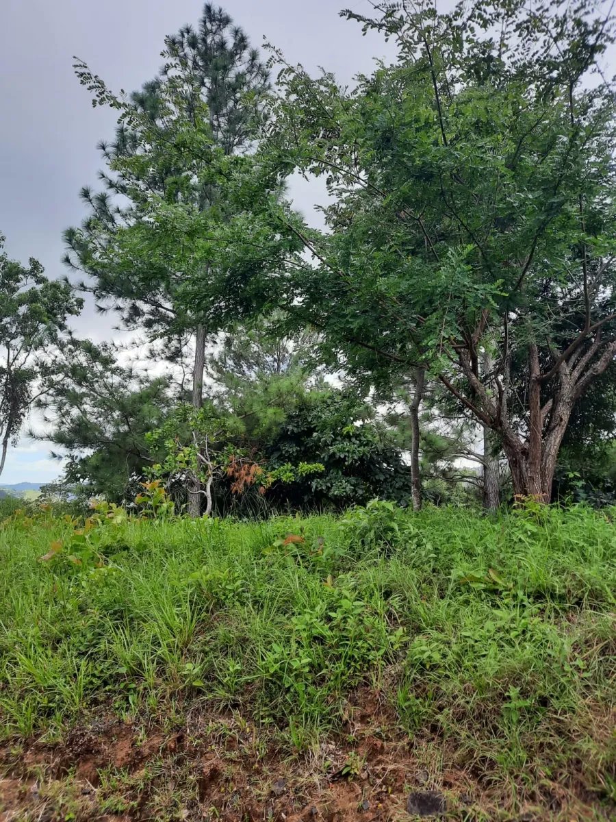 Lote de casa en venta en altos del maria