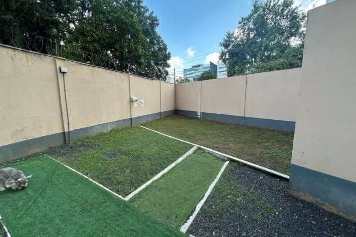 Alquiler de apartamento amoblado en punta pacífica, panamá
