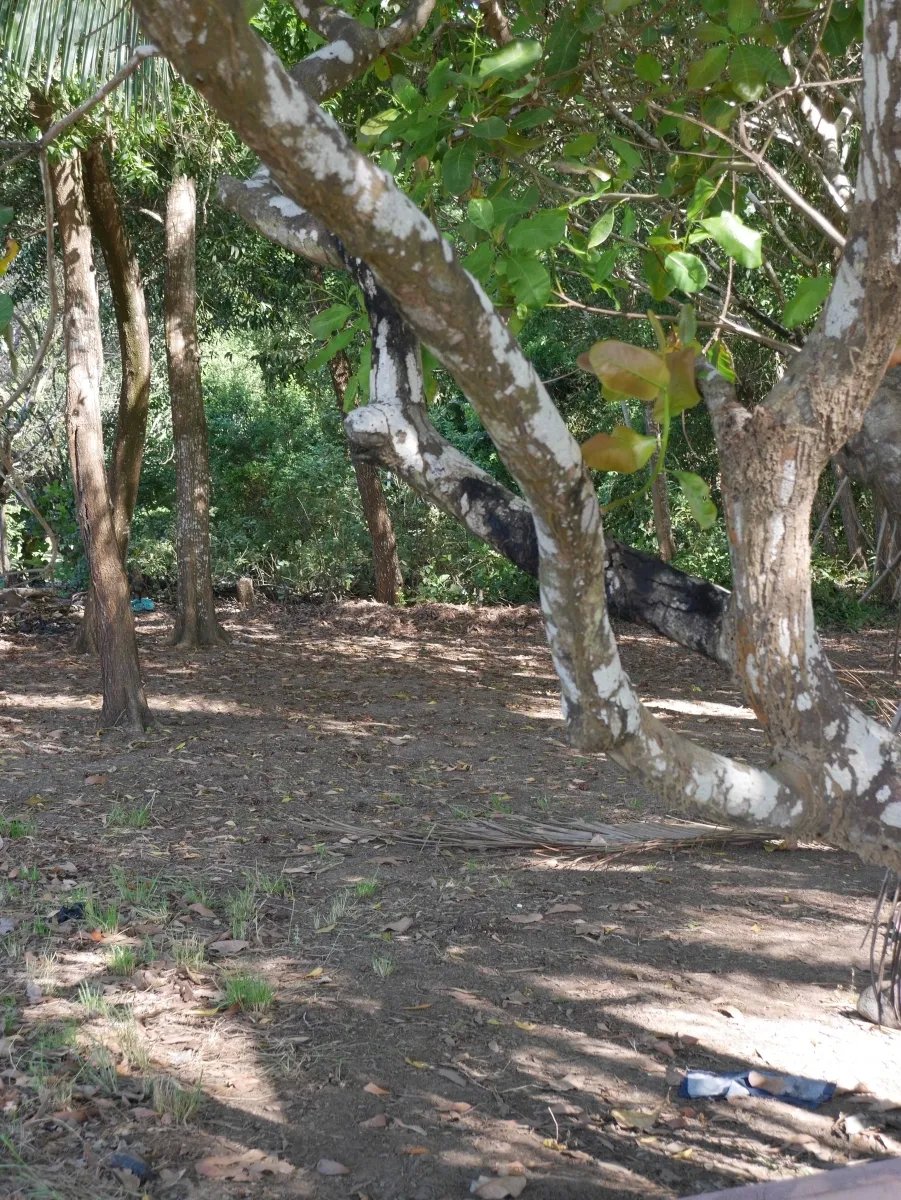 Dos lotes de playa en playa nanzal, san lorenzo, chiriqui