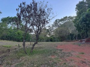 139619 - Santa catalina - lots