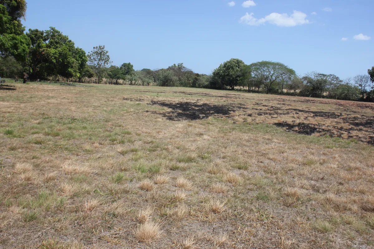 Antón, terreno en venta