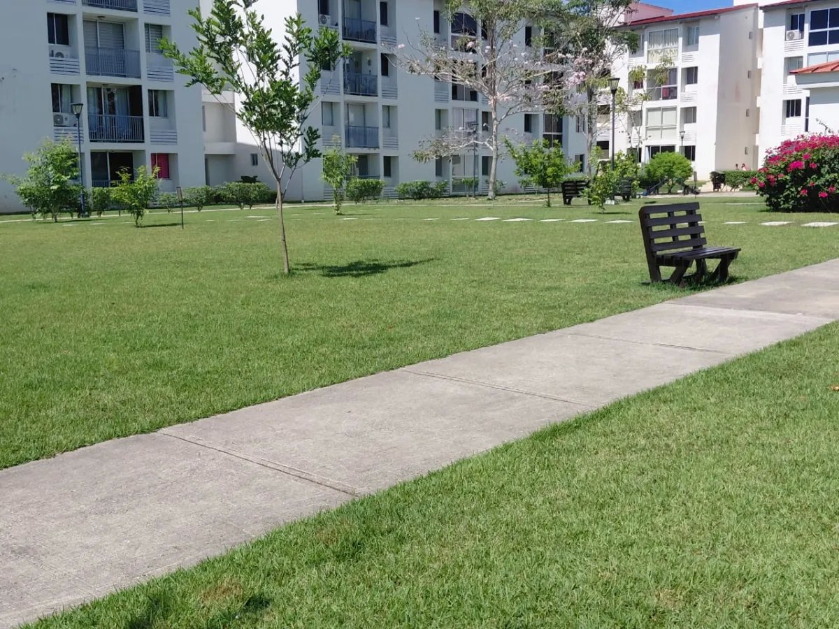 Alquiler de apartamento amoblado en ph olimpia, arraiján
