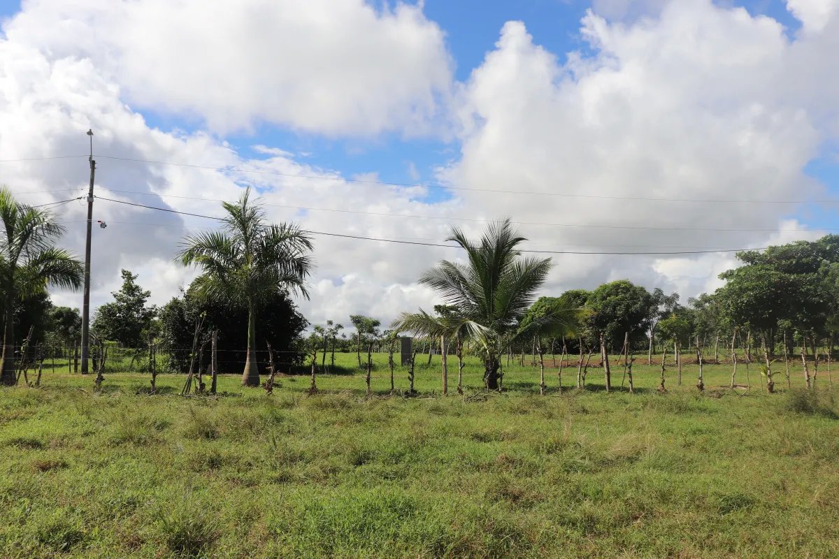 Venta de lote de playa  linda vista, pocrí