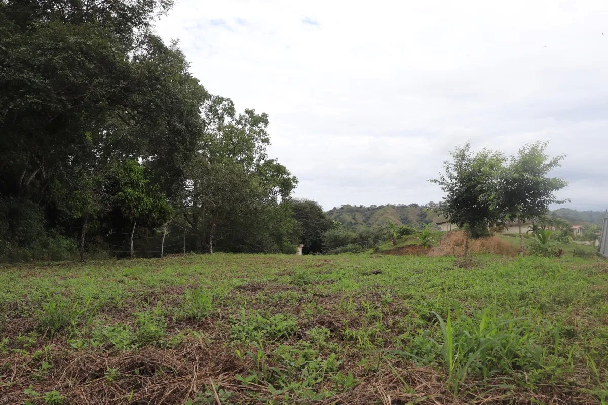 Venta de lote en cañas  cerca de playa venao