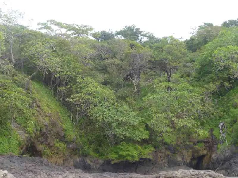 Venta de lote con vista al mar  playa madroño, los santos
