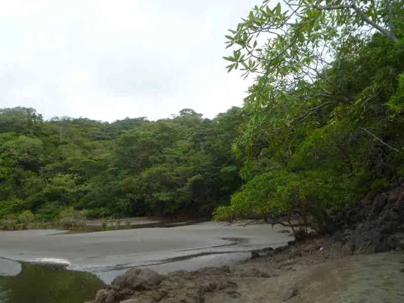 Venta de lote con vista al mar  playa madroño, los santos