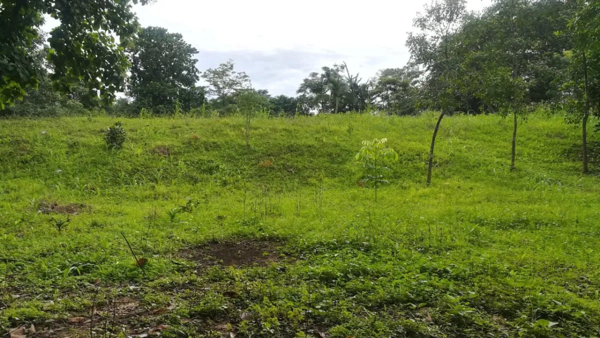 Venta de finca en tolú, los santos
