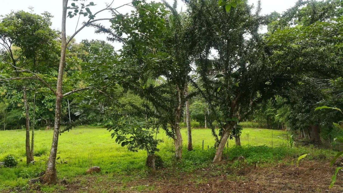 Venta de finca en tolú, los santos