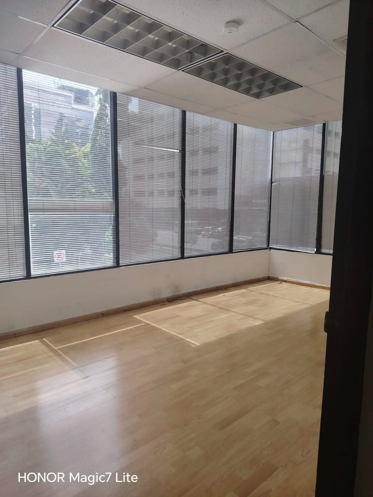 Alquiler de oficina 525 m2 en edificio beta continental, obarrio