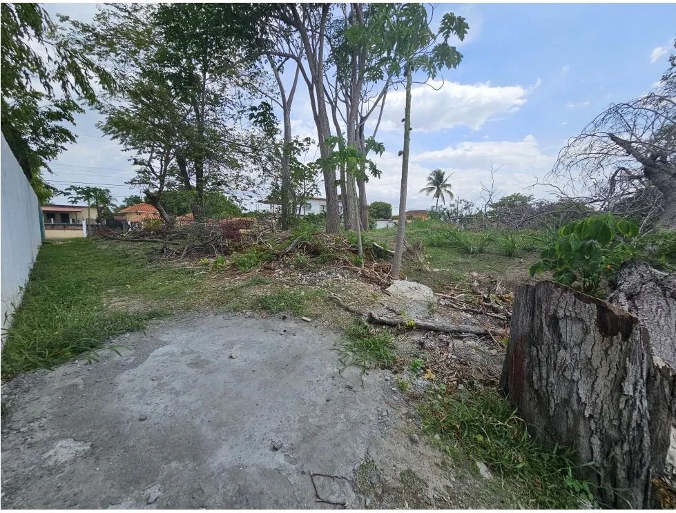 Se vende lote a pasos del mar en costa esmeralda, san carlos.