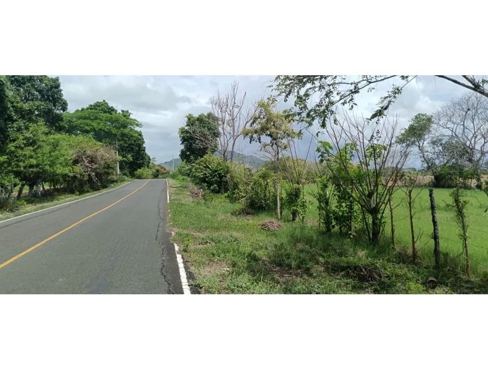 Venta de lote titulado de 1,005 m² en tonosí