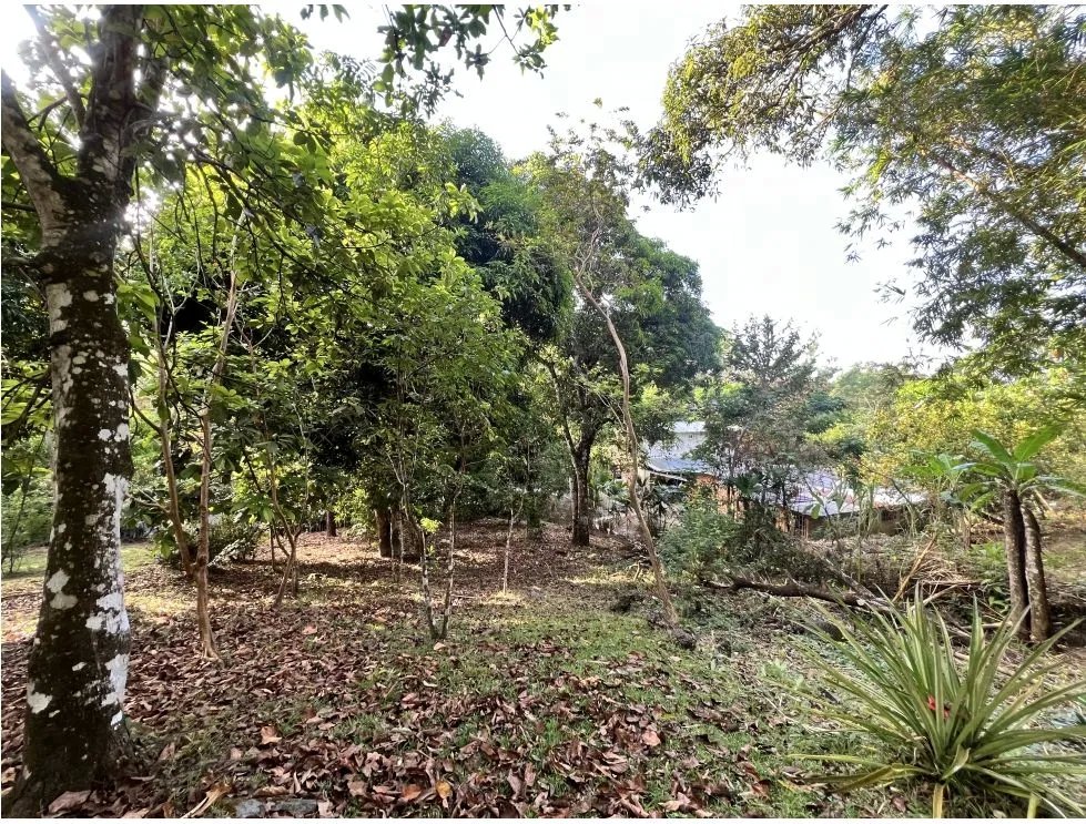 Venta de terreno con casa frente al río pacora, vía hacia san miguel