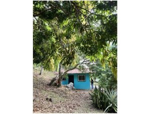 139741 - Pacora - lots - parque industrial canaima