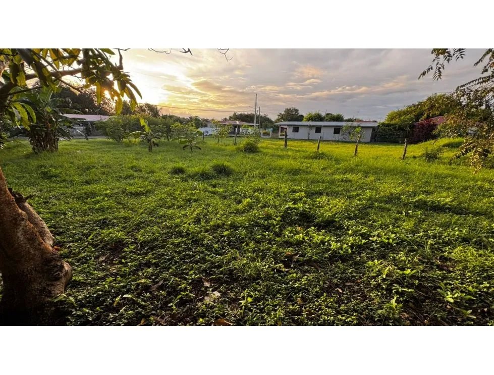 Venta de terreno en la primavera, las tablas.