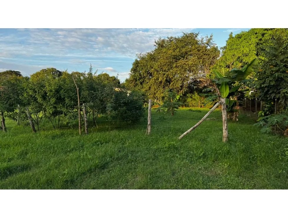 Venta de terreno en la primavera, las tablas.