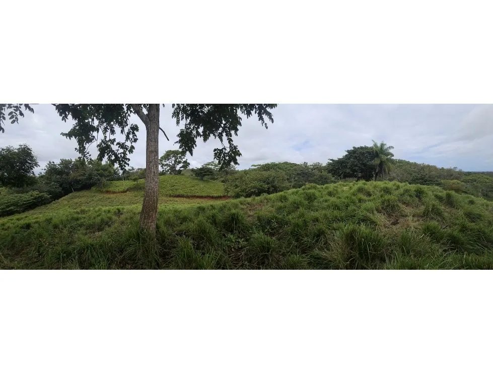Venta de terreno en pedasí, a minutos de playa venao