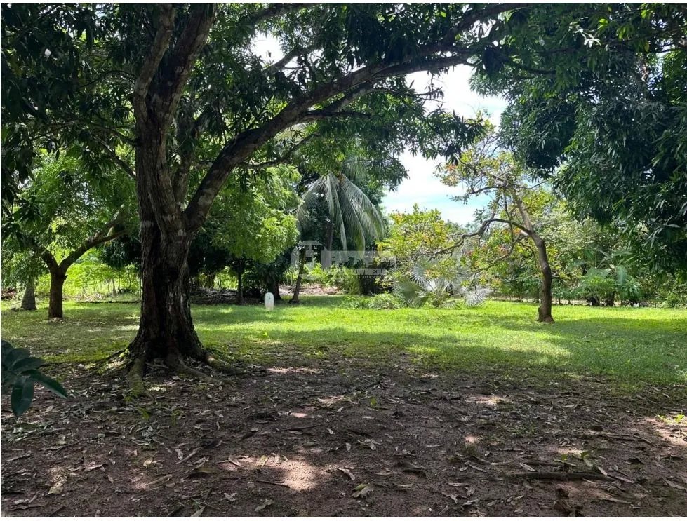 Venta de casa con piscina en pedasí