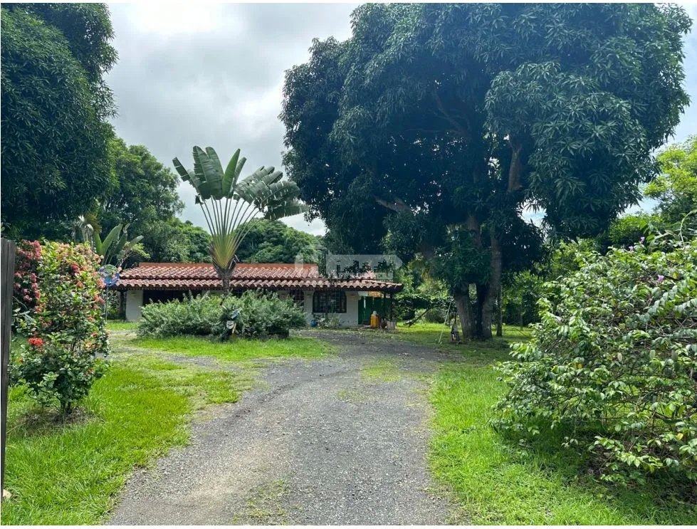 Venta de casa con piscina en pedasí