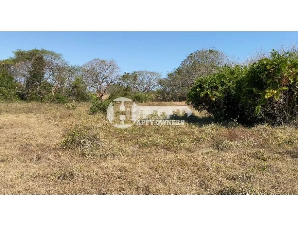 Se vende finca de 12 hectáreas, pocrí