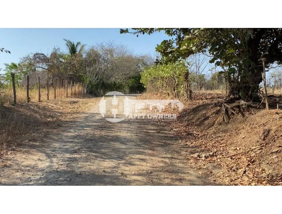 Se vende finca de 12 hectáreas, pocrí