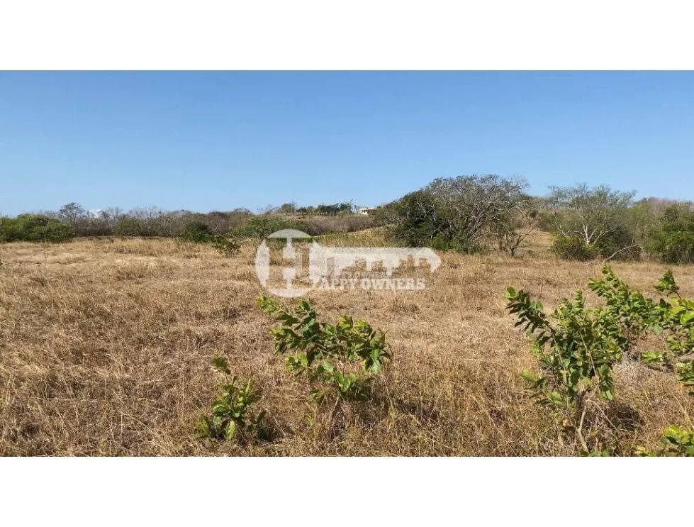 Se vende finca de 12 hectáreas, pocrí