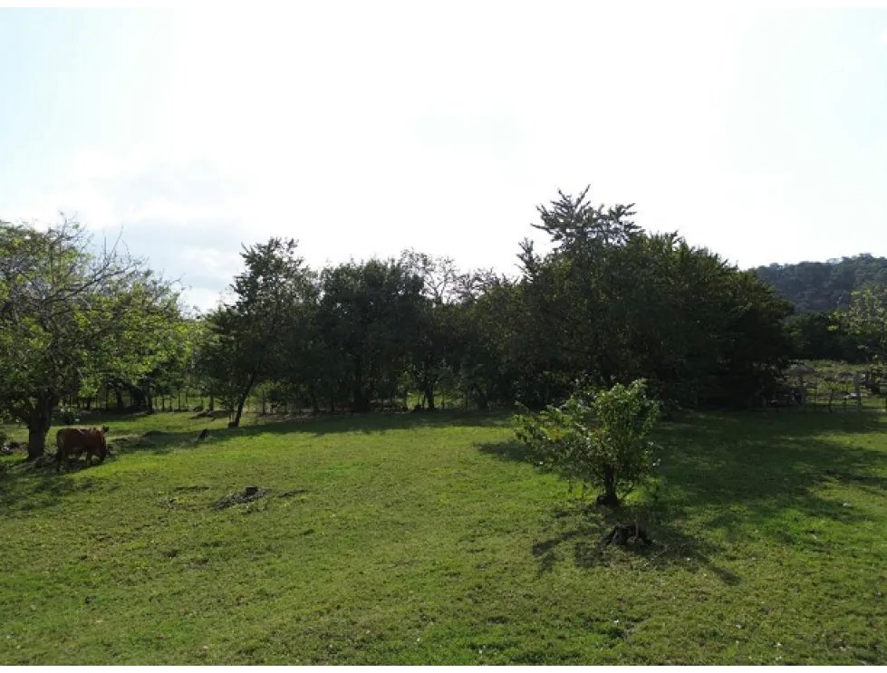Venta de terreno campestre en el espavé, chame