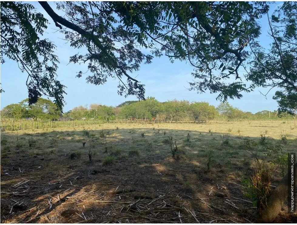 Venta de terreno frente a vía principal, guararé, los santos.