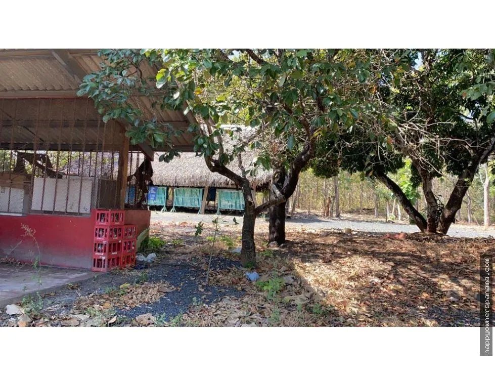 Venta de finca de 1.4 hectáreas en las tablas