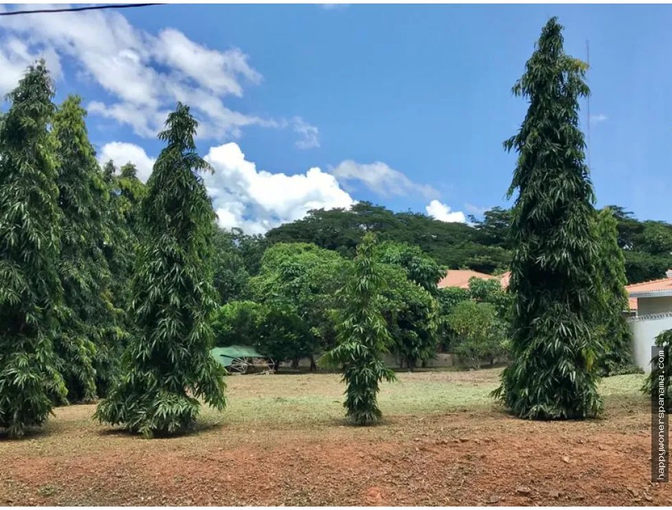 Venta de lote en chitré, herrera.