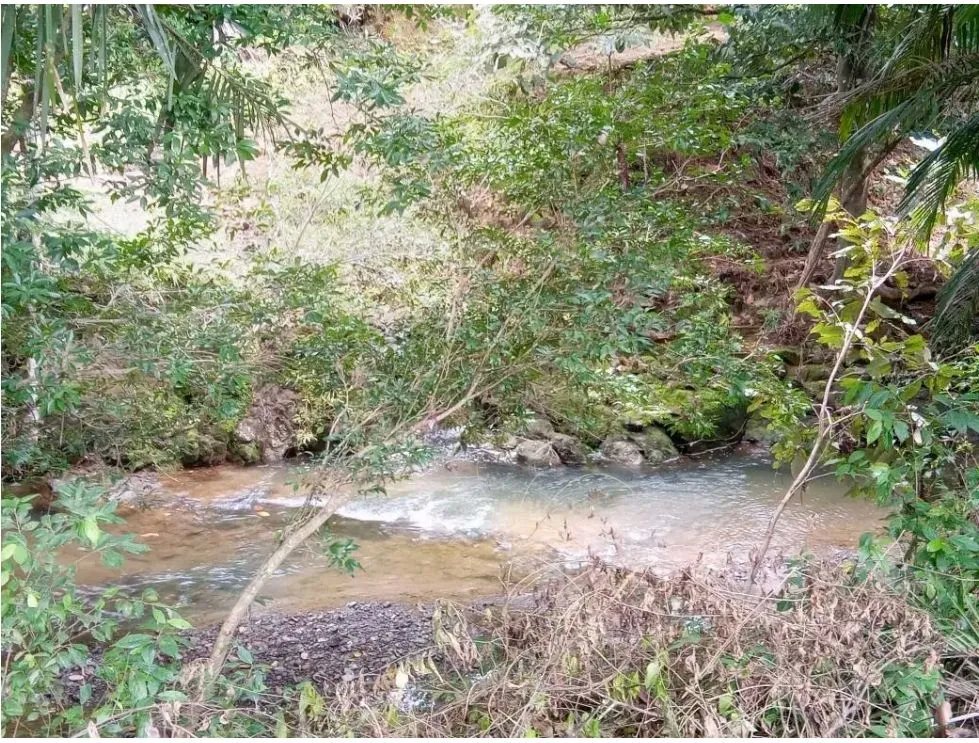 Venta de finca en tolú, los santos
