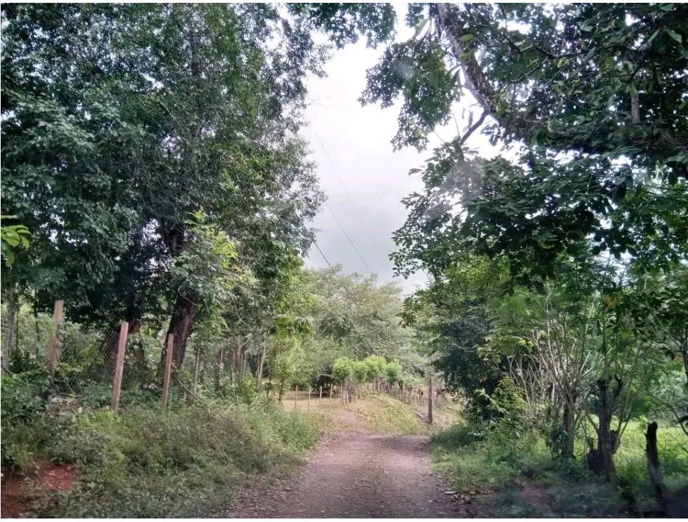 Venta de finca en tolú, los santos