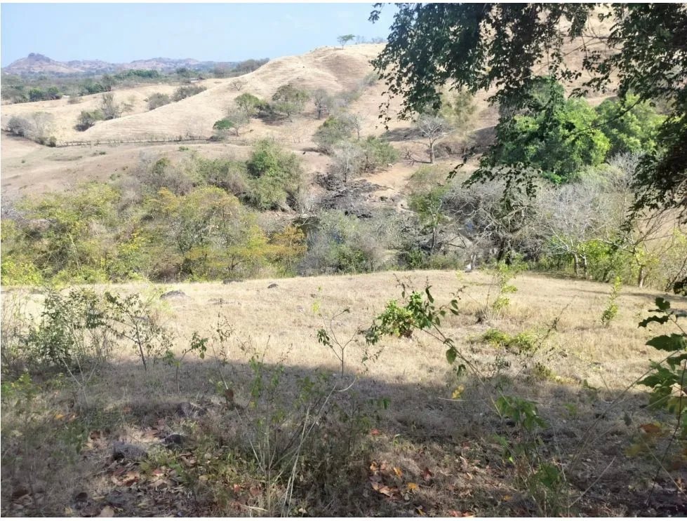 Venta de terreno de 2.2 hectáreas en guararé, los santos