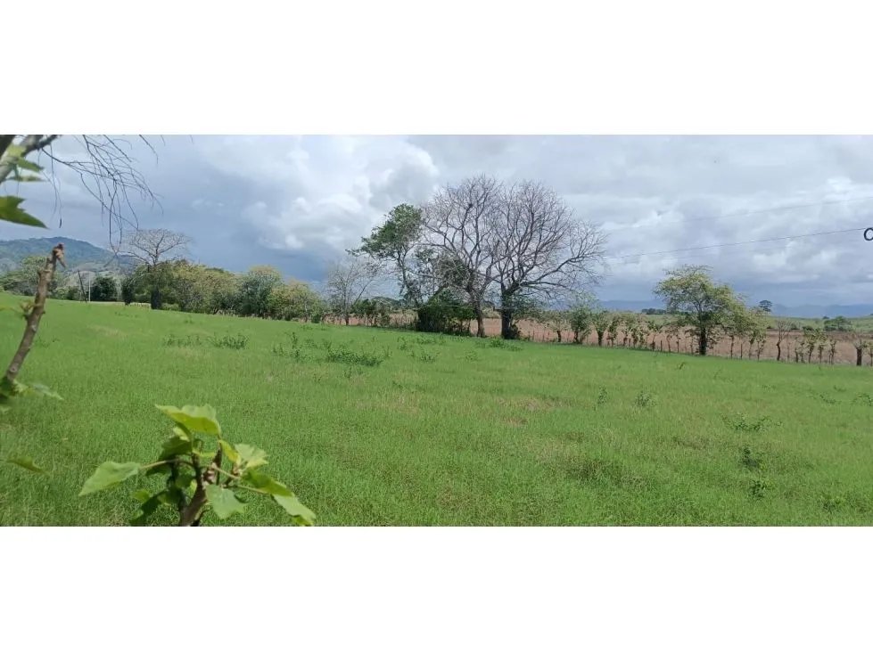 Terreno en venta en playa guánico, tonosí  a pasos del mar