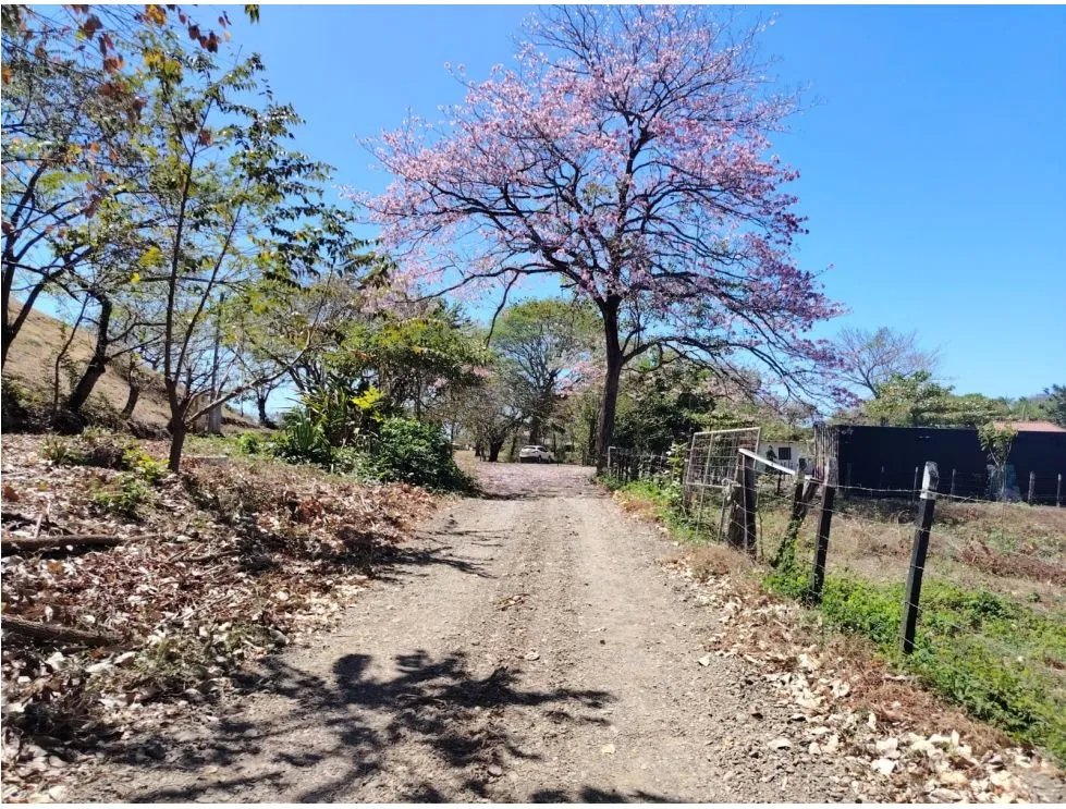 Terreno en venta en playa guánico, tonosí  a pasos del mar