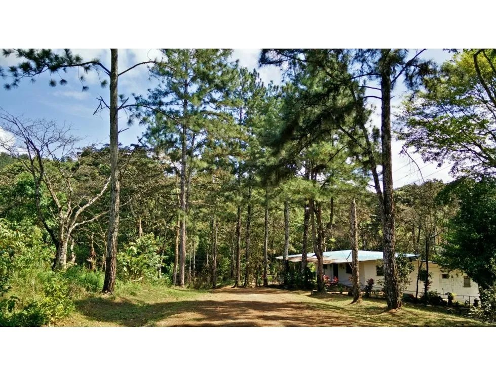 Venta de terreno en cerro azul