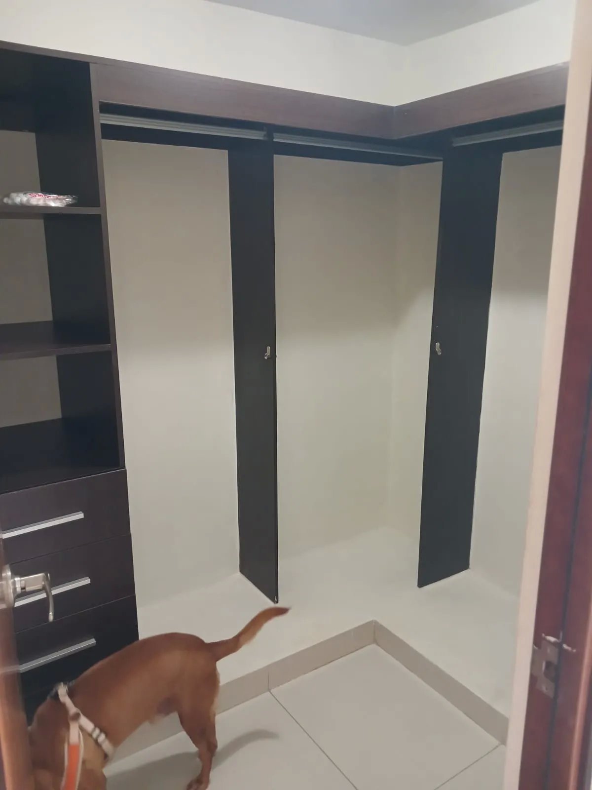 Apartment for rent in woodland, panama pacifico