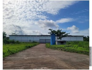 140448 - Arraiján - warehouses - altos del tecal