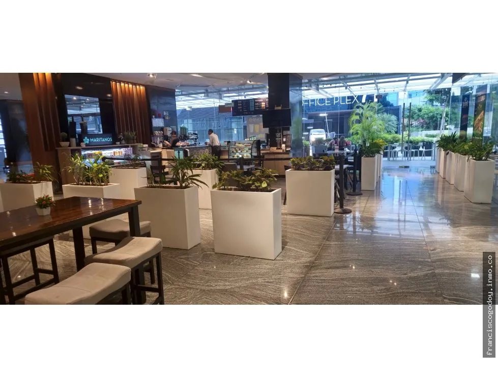 Local comercial en alquiler en santa maría (business district)
