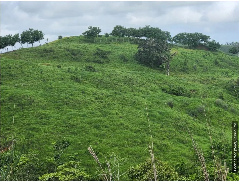 Venta de fincas en coronado