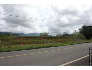 141742 - Panamá - apartments - remates judiciales