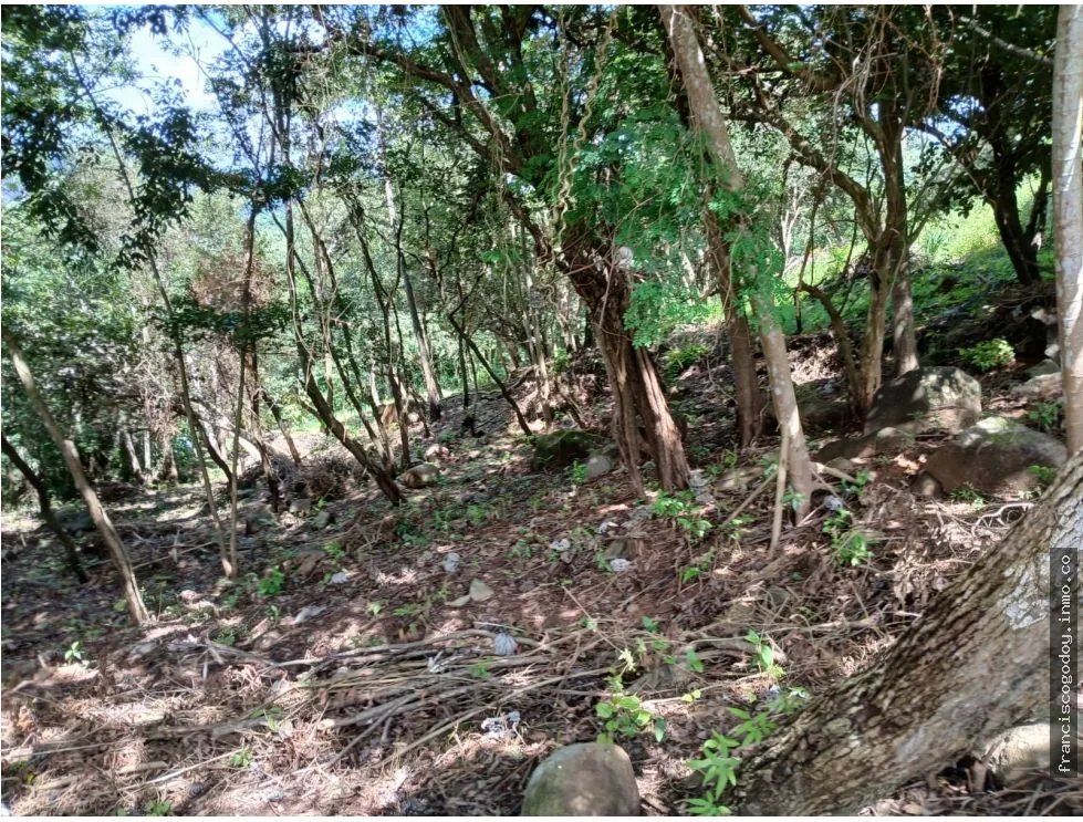 Terreno en venta en aires de chicá, chame