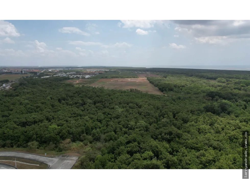 Terreno en costa sur - panamá