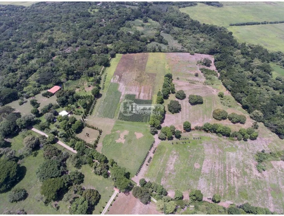Se vende finca de 5 hectareas en río hato, coclé