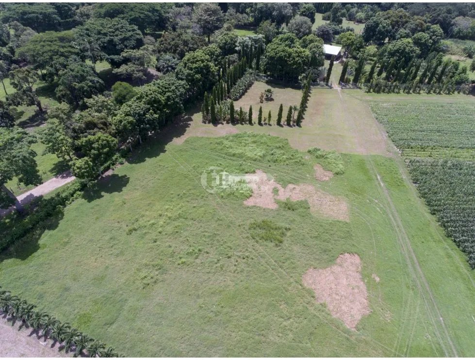 Se vende finca de 5 hectareas en río hato, coclé